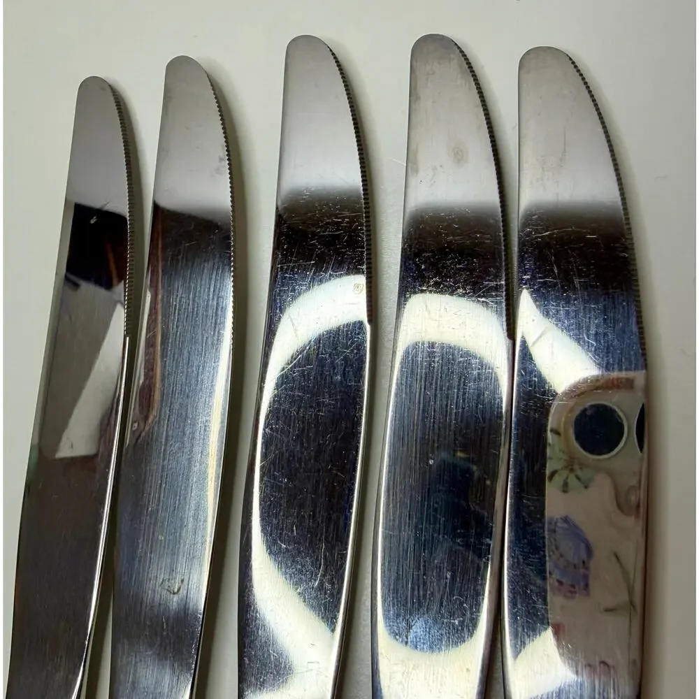Oneida Heirloom Rembrandt Dinner Knives 9 1/8” Stainless Vintage Set of 5